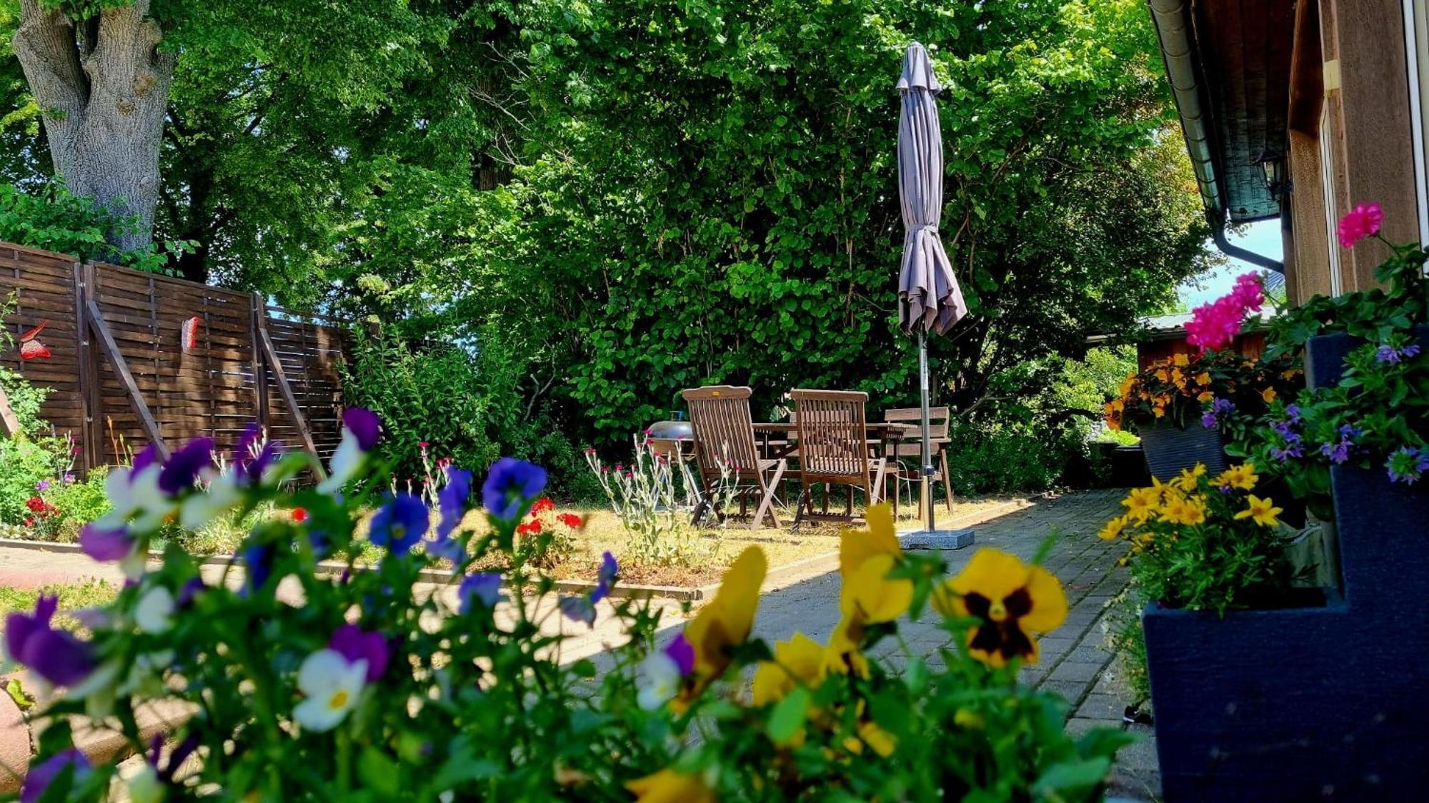 W5 - Urlaubsmagie - Wohnung Mit Grill, Terrasse & Pool Lichtenhain  Extérieur photo